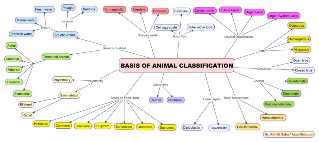 Mindmap: CBSE Class 11 Chapter 4 – Animal Kingdom • AcadHelp