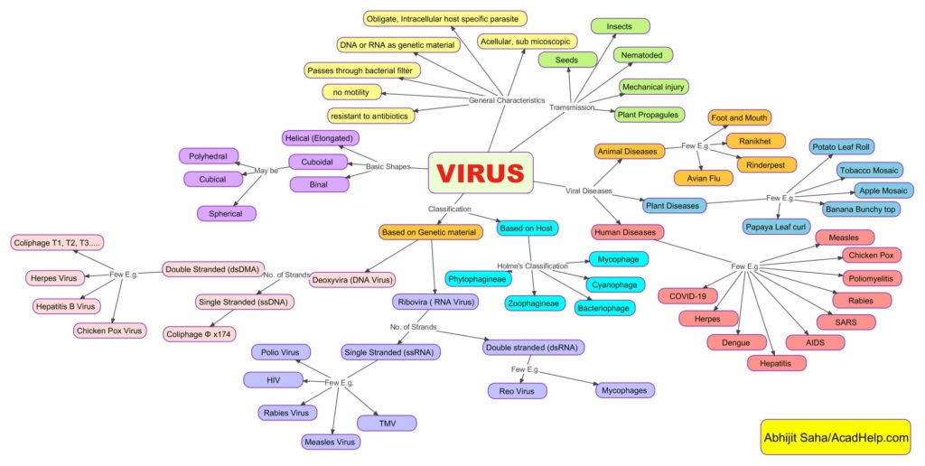 mind-map-biological-classification-acadhelp