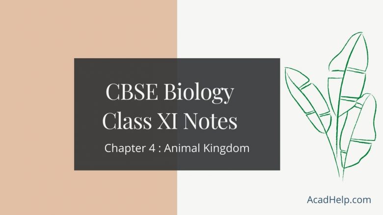 Biology CBSE Class 11 Notes : Chapter 4 – Animal Kingdom